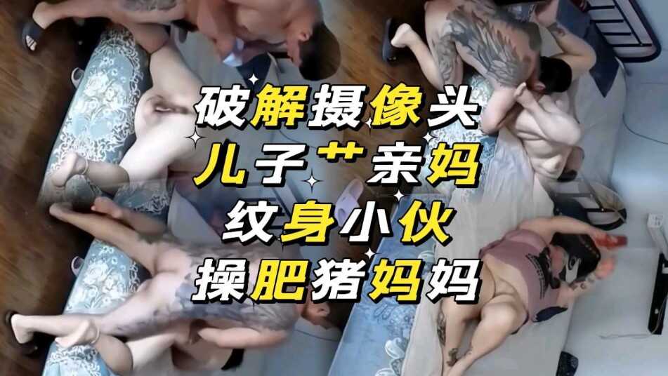 网传热门